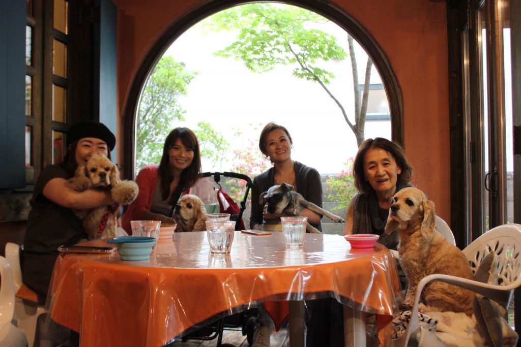 札幌にある愛犬と過ごせるカフェ5選 はれ暮らし ジョンソンホームズ